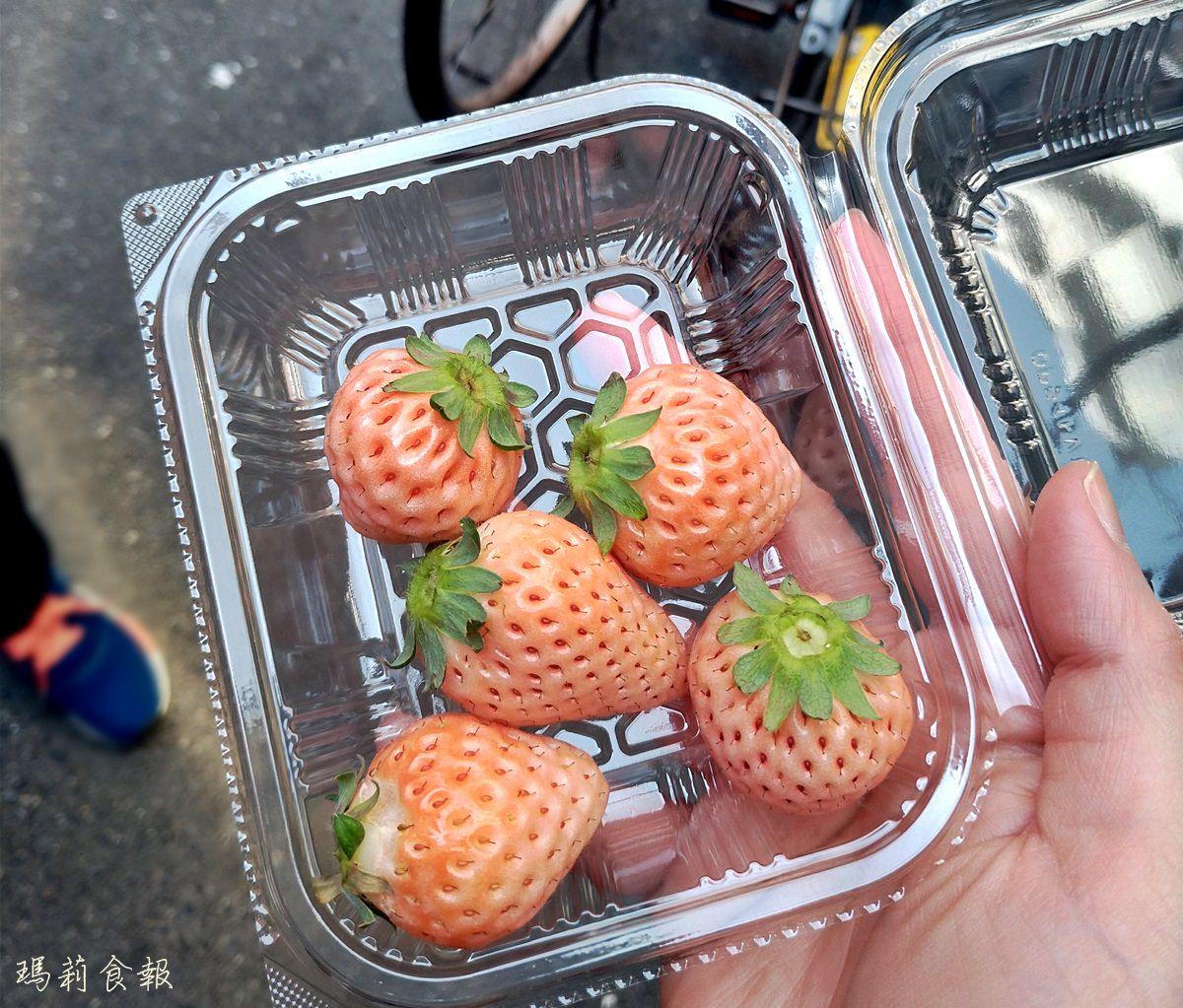 日本自助｜春、冬兩季 到日本嗑草莓的最好時刻