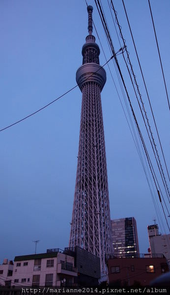 東京晴空塔（Tokyo Sky Tree） (7).JPG