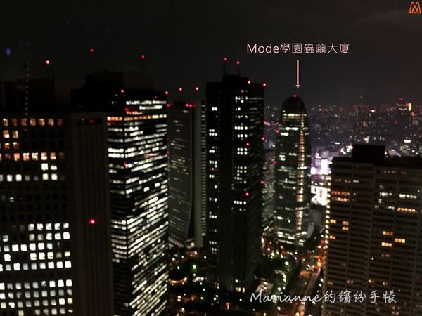 東京都廳夜景 (7).JPG