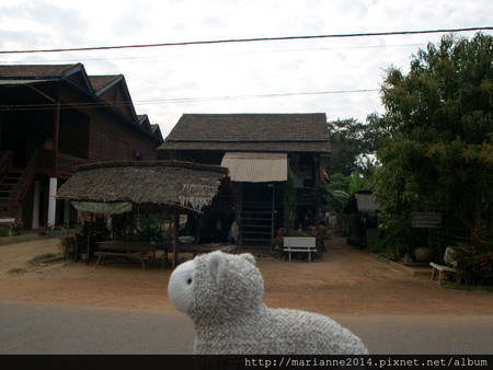 柬埔寨景點｜吳哥窟洞里薩湖水上人家的小羊兒